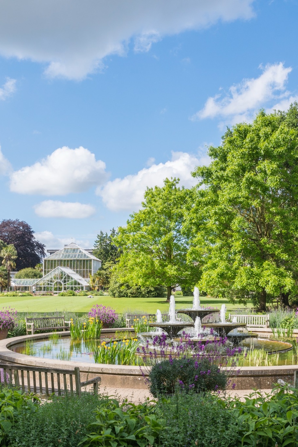 istockphoto-160589217-1024x1024 Cambridge Botanical Gardens